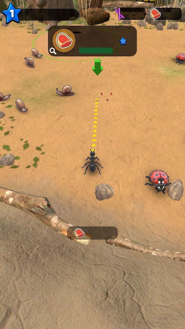 СϷ(Ant Kingdom)