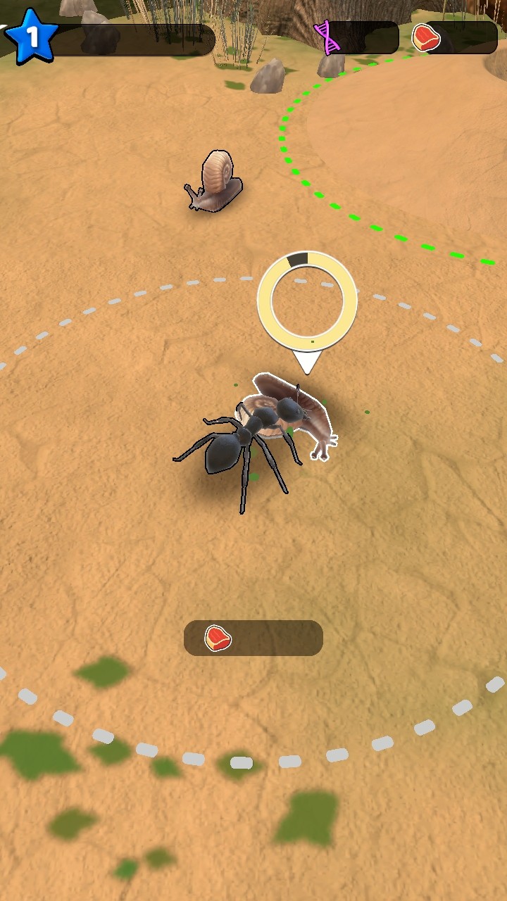 СϷ(Ant Kingdom)