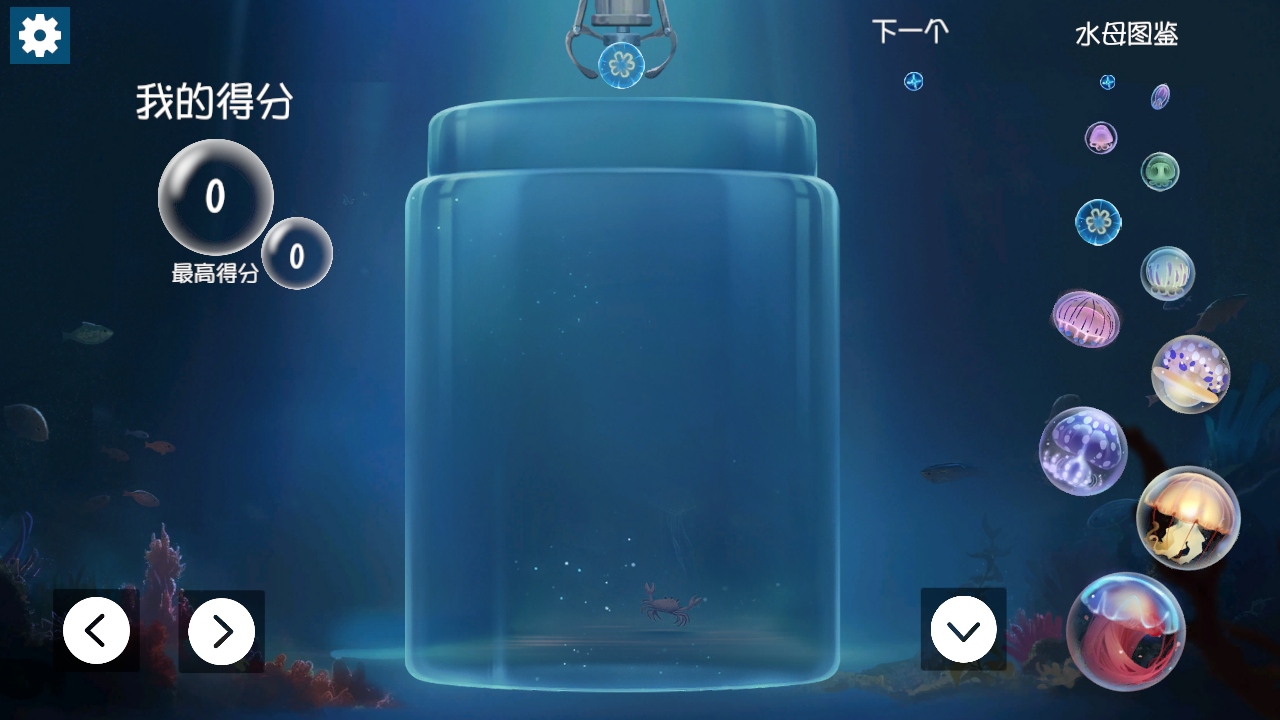 ϳɴˮĸϷ(jellyfish)