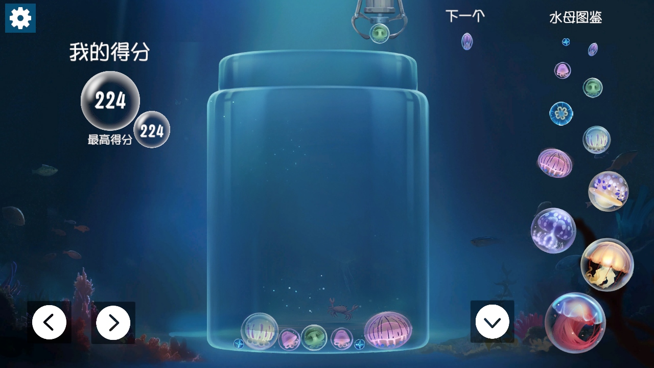 ϳɴˮĸϷ(jellyfish)