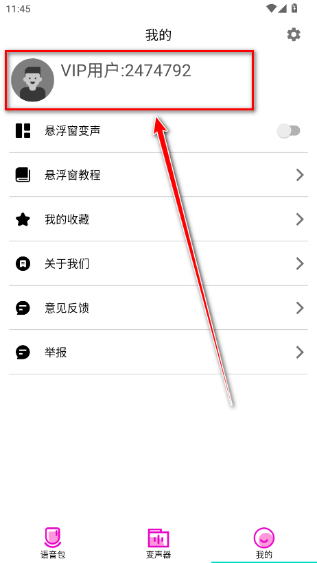 ʦvip
