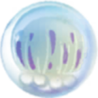 ϳɴˮĸϷ(jellyfish)