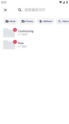 mxרҵ°汾(MX Player Pro)ͼ0