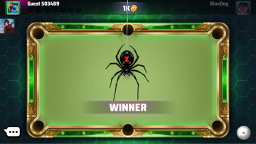 ̨ʦײ˵ƽ(Pool Masters)ͼ3