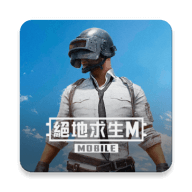 ̨(PUBG MOBILE)