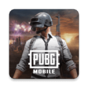 °汾(PUBG MOBILE)3.9.0׿