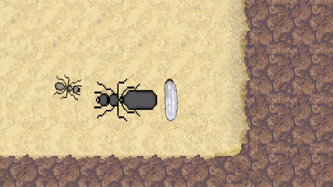 ڴģ°(Pocket Ants)0.1026ֻͼ2