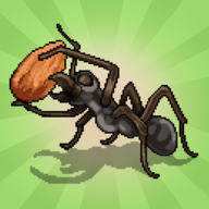 ڴģ°(Pocket Ants)