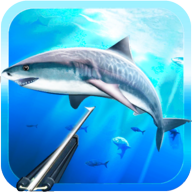 ˮ°(Spearfishing 3D)