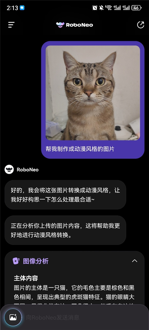 RoboNeoͼai1.6.1ٷͼ3