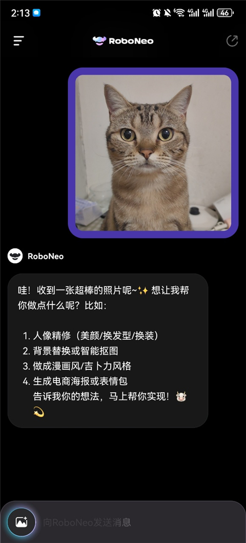 RoboNeoͼai1.6.1ٷͼ2
