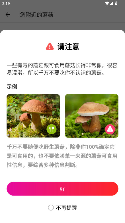 ĢʶԱ(Picture Mushroom)