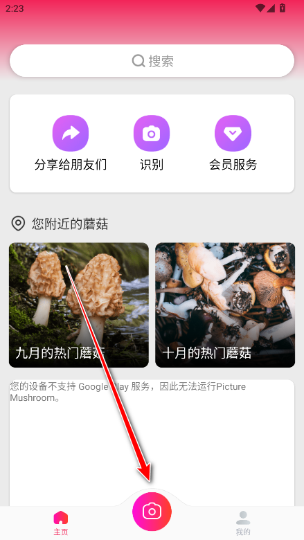 ĢʶԱ(Picture Mushroom)
