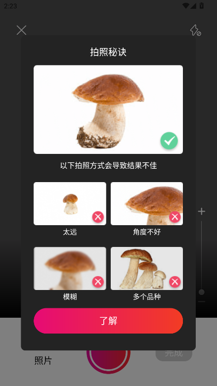 ĢʶԱ(Picture Mushroom)