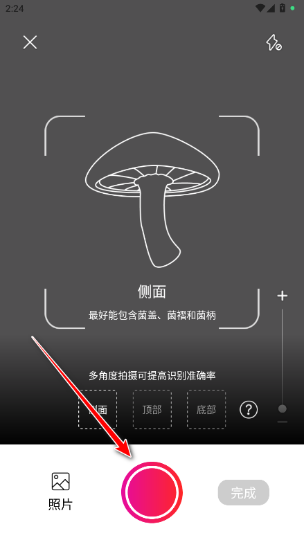 ĢʶԱ(Picture Mushroom)