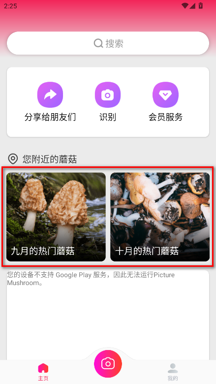 ĢʶԱ(Picture Mushroom)