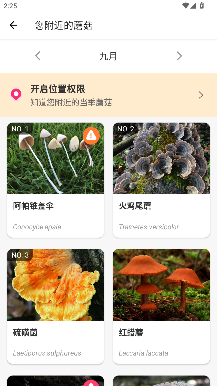 ĢʶԱ(Picture Mushroom)