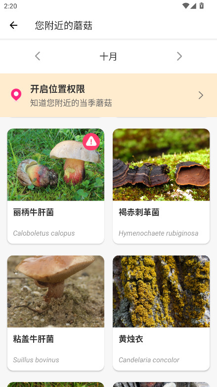 ĢʶԱ(Picture Mushroom)2.9.23׿ͼ3