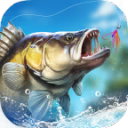 ޳Ʊ(Fishing Travel)0.33İ