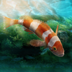 ˮʦֻ(Aquarium Designer)1.0.0İ