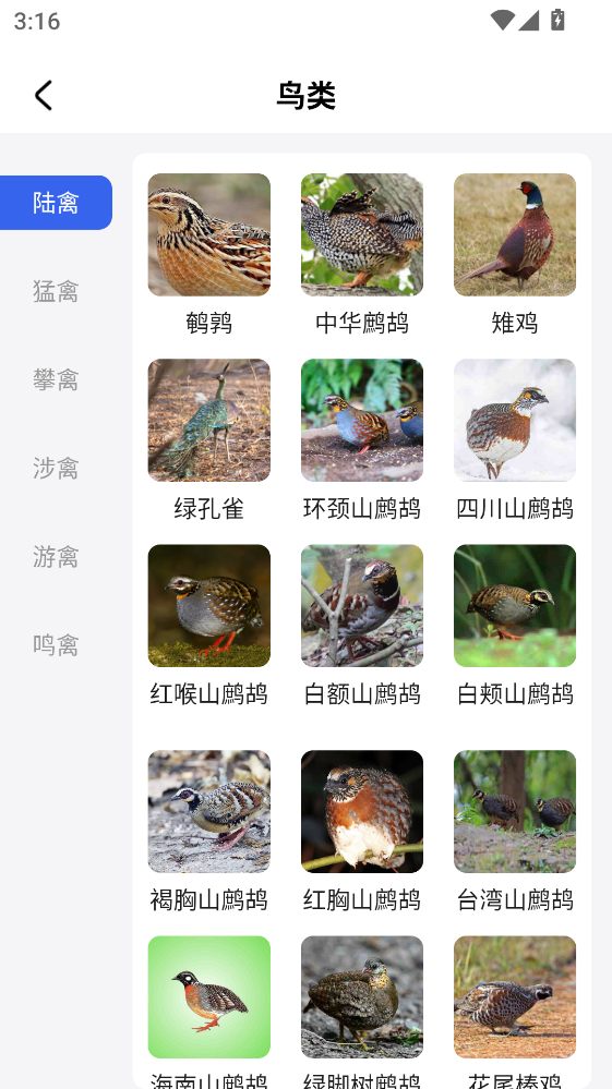 �����������°�