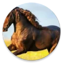 ��ĵ���tv�°�����2.3.5��׿��