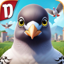 pigeon���ĸ���22��׿��