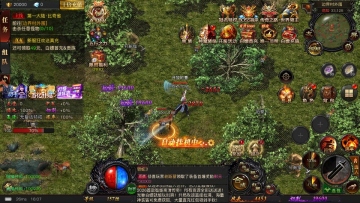 ���������Ϸ�ٷ����ͼ1