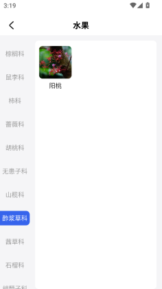 �����������°��ͼ2