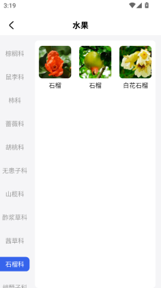 �����������°��ͼ3