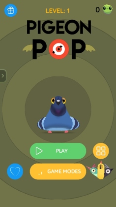 pigeon���ĸ��ӽ�ͼ1