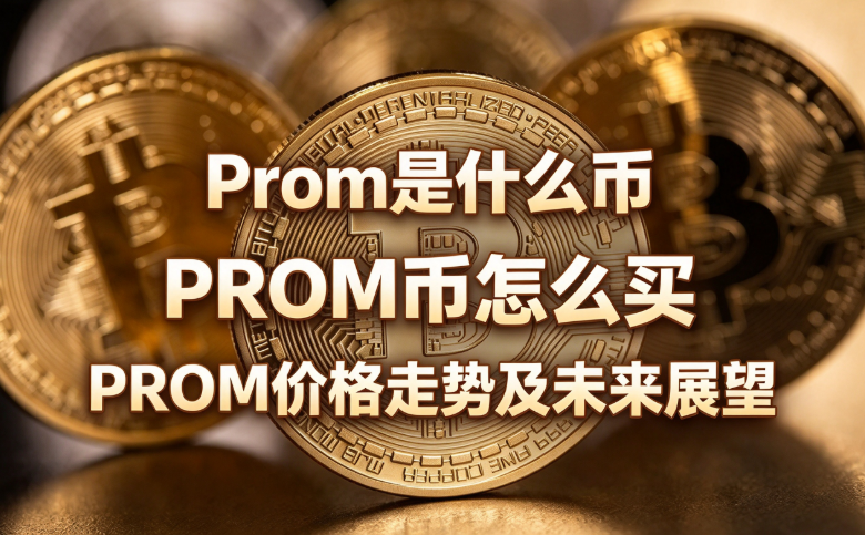 Prom��ʲô�� P