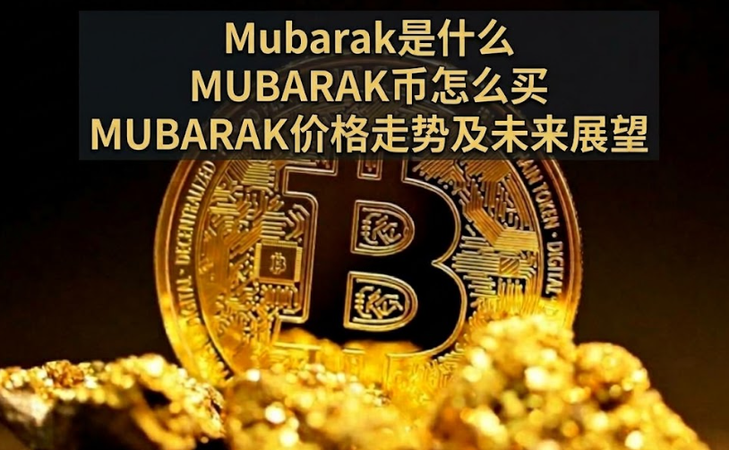 Mubarak��ʲô MUBARAK����ô�� MUBARAK�۸����Ƽ�δ��չ��