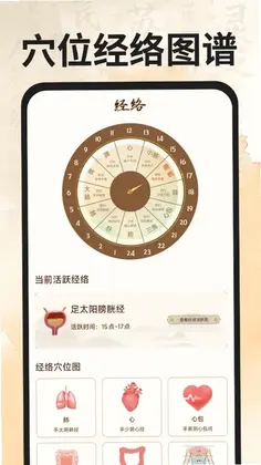 穴位经络图谱预览图