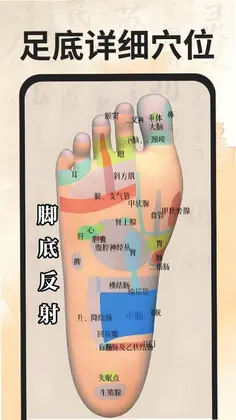 穴位经络图谱预览图