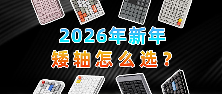 �S֮������2026��ʵ�������