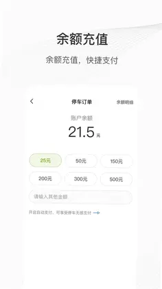 咸宁智慧停车预览图