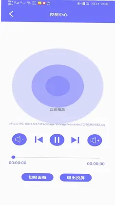 Zplay预览图