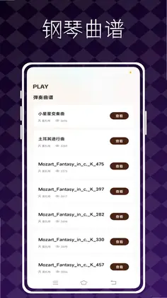 极品钢琴预览图