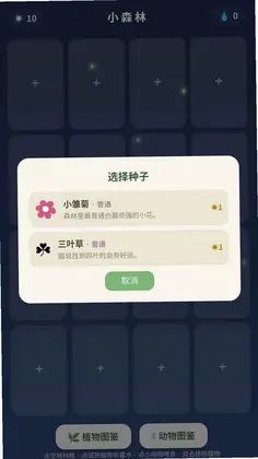 小森林预览图