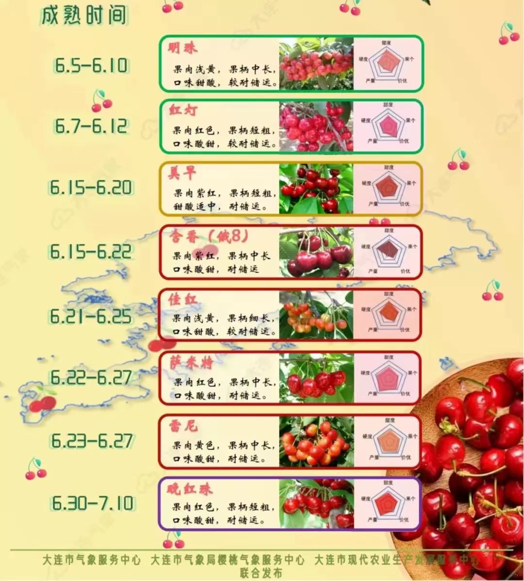 樱桃星球樱桃品种选择属性对比图