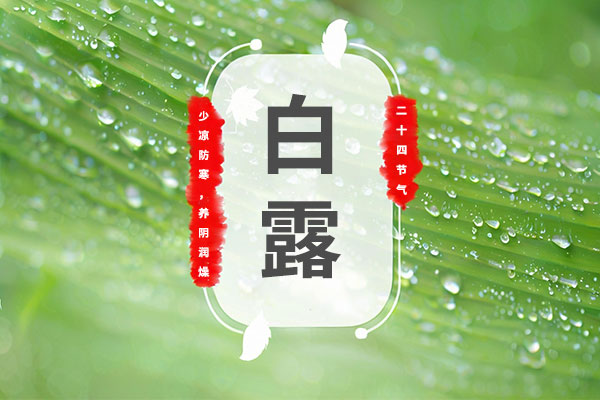 白露放大镜白露养生饮食搭配全家福