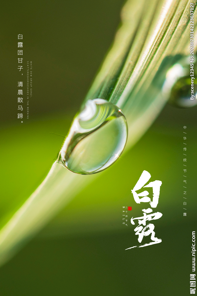 ��¶�Ŵ�2026