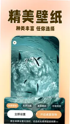 �����ȳ辫��Ԥ��ͼ