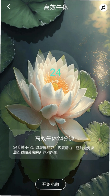 功德木鱼预览图