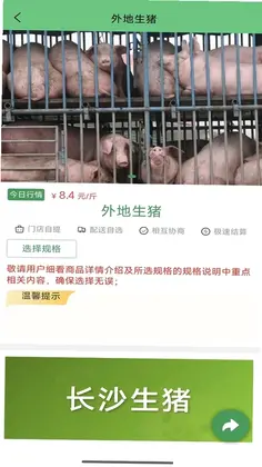 白圫交易系统预览图