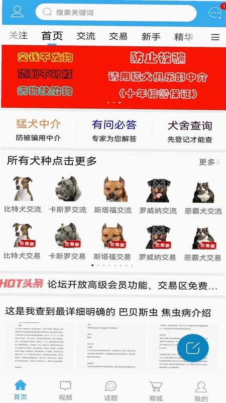 猛犬俱乐部预览图