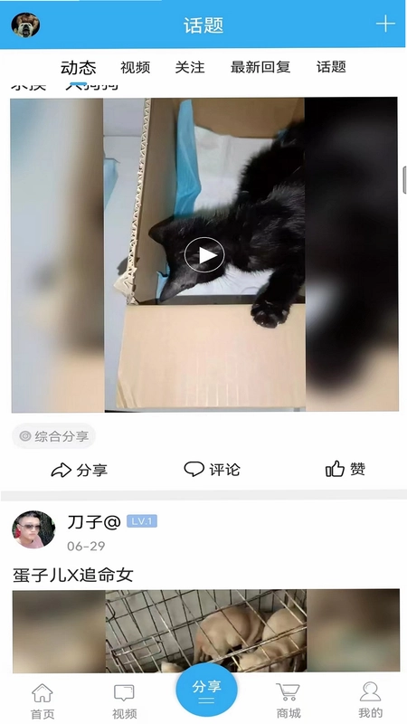 猛犬俱乐部预览图