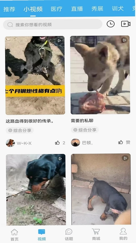 猛犬俱乐部预览图