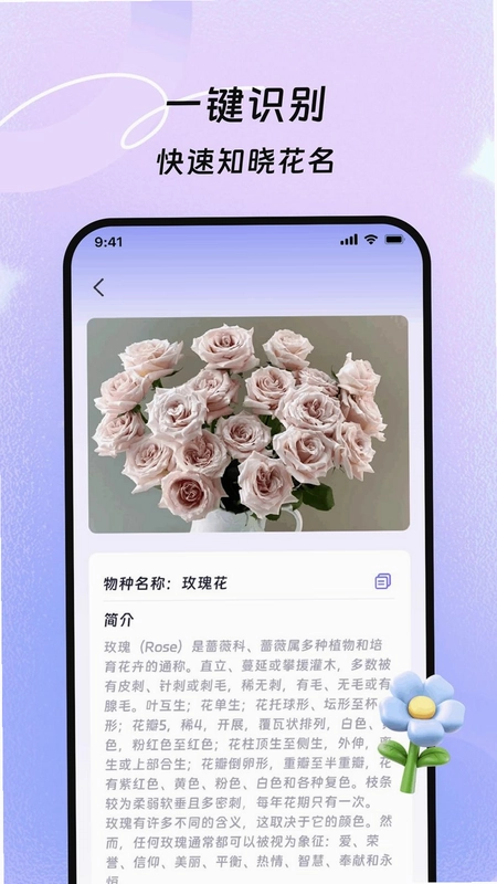 云辉扫描精灵预览图